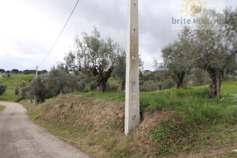 Gård i Tomar, Santarem, Tomar - € 200 000 | Ref: Tr117 - foto 4