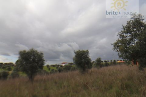 Gård i Tomar, Santarem, Tomar - € 200 000 | Ref: Tr117 - foto 5