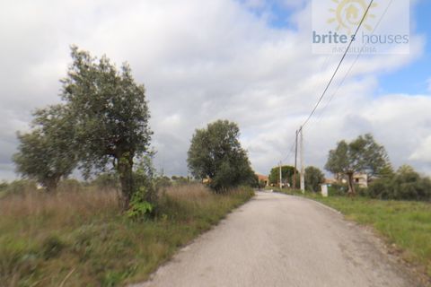 Gård i Tomar, Santarem, Tomar - € 200 000 | Ref: Tr117 - foto 2