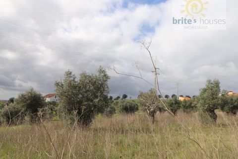 Gård i Tomar, Santarem, Tomar - € 200 000 | Ref: Tr117 - foto 9