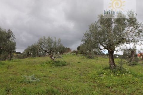 Gård i Tomar, Santarem, Tomar - € 200 000 | Ref: Tr117 - foto 10