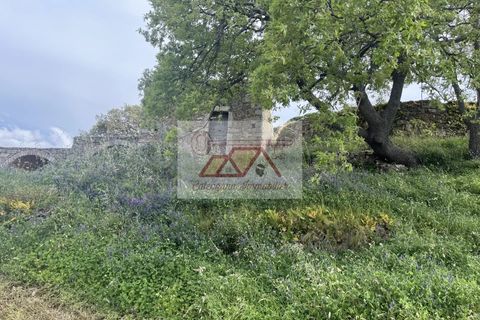 Landejendom i Cateri, Haute-Corse, Cateri - € 690.000 | Ref: 84861617 - foto 5