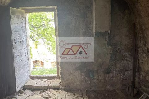 Landejendom i Cateri, Haute-Corse, Cateri - € 690.000 | Ref: 84861617 - foto 14