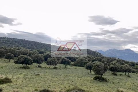 Lejlighed i Lumio, Haute-Corse, Lumio - € 288.900 | Ref: 85287219 - foto 4