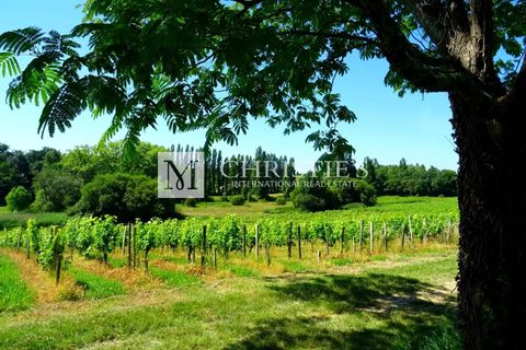 Villa i Libourne, Gironde, Libourne - € 1.961.000 | Ref: JCS1017 - foto 7