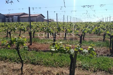 Villa a Bourg, Gironde, Bourg - € 890.000 | Ref: XR1062 - foto 5