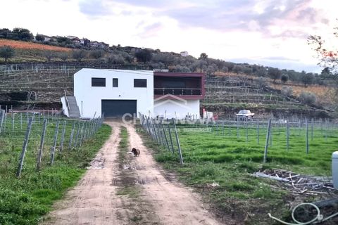 Villa i Tabuaco, Viseu, Tabuaco - € 500.000 | Ref: SMF/02820 - foto 17