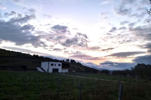 Villa i Tabuaco, Viseu, Tabuaco - € 500.000 | Ref: SMF/02820 - foto 18