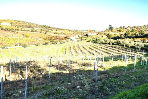 Villa i Tabuaco, Viseu, Tabuaco - € 500.000 | Ref: SMF/02820 - foto 19