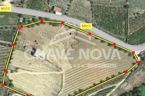 Villa i Tabuaco, Viseu, Tabuaco - € 500.000 | Ref: SMF/02820 - foto 20
