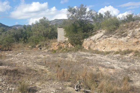 Finca i Roquetes, Tarragona, Roquetes - € 25 000 | Ref: 1299 - foto 11