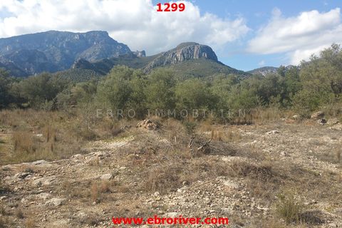 Finca i Roquetes, Tarragona, Roquetes - € 25 000 | Ref: 1299 - foto 12