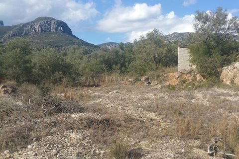 Finca i Roquetes, Tarragona, Roquetes - € 25 000 | Ref: 1299 - foto 13