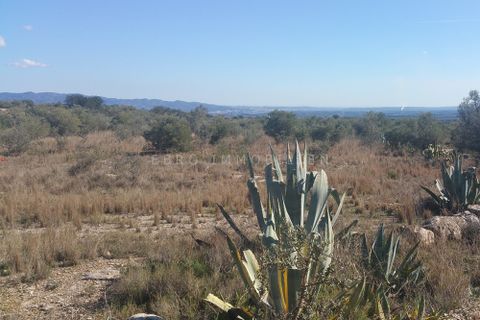 Finca i Roquetes, Tarragona, Roquetes - € 25 000 | Ref: 1299 - foto 14