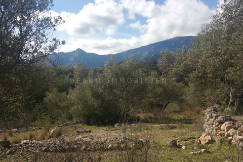 Finca i Roquetes, Tarragona, Roquetes - € 25 000 | Ref: 1299 - foto 15