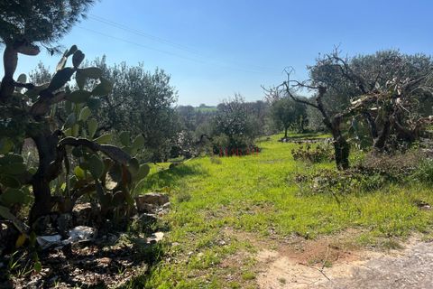 Landejendom i Cisternino, Brindisi, Cisternino - € 58.000 | Ref: 330 - foto 2