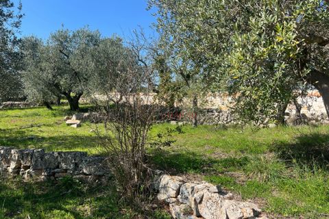 Landejendom i Cisternino, Brindisi, Cisternino - € 58.000 | Ref: 330 - foto 19