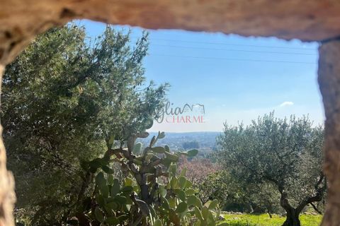 Landejendom i Cisternino, Brindisi, Cisternino - € 58.000 | Ref: 330 - foto 26