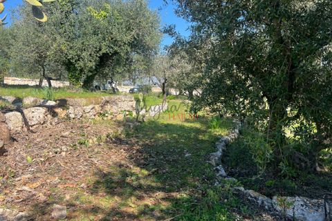 Landejendom i Cisternino, Brindisi, Cisternino - € 58.000 | Ref: 330 - foto 8