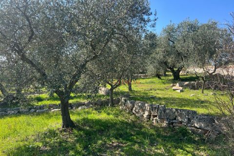 Landejendom i Cisternino, Brindisi, Cisternino - € 58.000 | Ref: 330 - foto 25