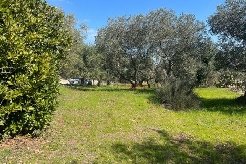 Landejendom i Cisternino, Brindisi, Cisternino - € 58.000 | Ref: 330 - foto 14