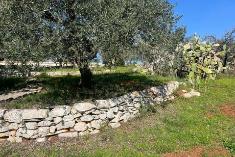 Landejendom i Cisternino, Brindisi, Cisternino - € 58.000 | Ref: 330 - foto 5