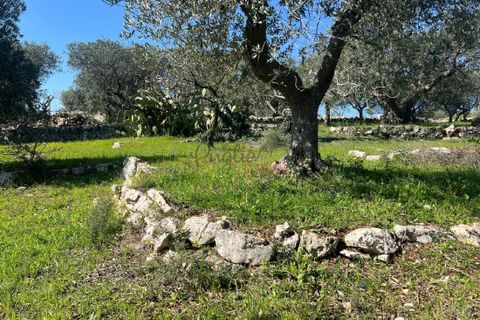 Landejendom i Cisternino, Brindisi, Cisternino - € 58.000 | Ref: 330 - foto 15