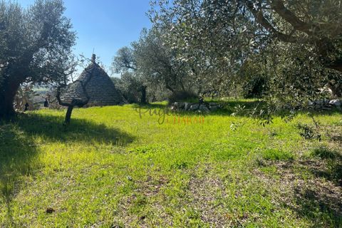 Landejendom i Cisternino, Brindisi, Cisternino - € 58.000 | Ref: 330 - foto 22