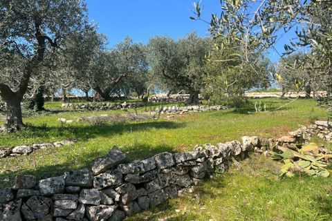 Landejendom i Cisternino, Brindisi, Cisternino - € 58.000 | Ref: 330 - foto 16