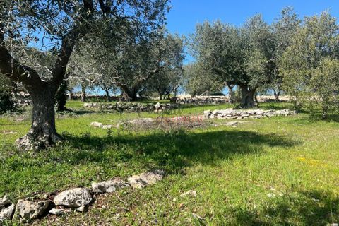 Landejendom i Cisternino, Brindisi, Cisternino - € 58.000 | Ref: 330 - foto 20