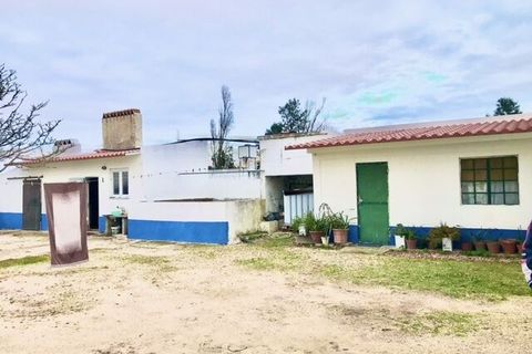 Farm i Alpiarca, Santarem, Alpiarca - € 245.000 | Ref: SF-SAFTI:006412 - foto 4