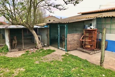 Farm i Alpiarca, Santarem, Alpiarca - € 245.000 | Ref: SF-SAFTI:006412 - foto 20