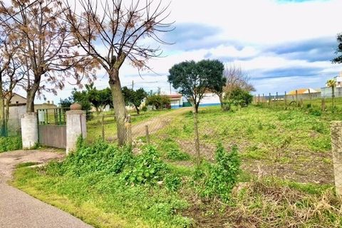 Farm i Alpiarca, Santarem, Alpiarca - € 245.000 | Ref: SF-SAFTI:006412 - foto 2