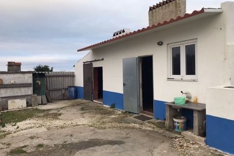 Farm i Alpiarca, Santarem, Alpiarca - € 245.000 | Ref: SF-SAFTI:006412 - foto 22