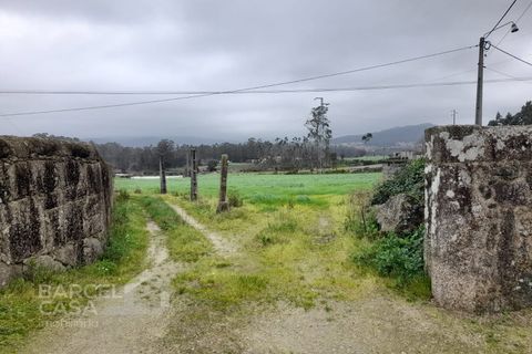 Terra a Cinfaes, Braga, Cinfaes - € 200.000 | Ref: 49/25 - foto 2