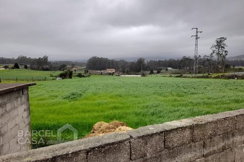 Terra a Cinfaes, Braga, Cinfaes - € 200.000 | Ref: 49/25 - foto 3