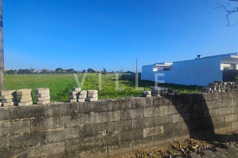 Helårsgrund i Aveiro, Aveiro, Aveiro - € 115.000 | Ref: AV2412 - foto 3