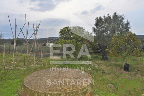 Terra a Chamusca, Santarem, Chamusca - € 30.000 | Ref: 11700 - foto 4