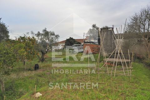 Terra a Chamusca, Santarem, Chamusca - € 30.000 | Ref: 11700 - foto 6