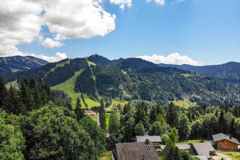 Terra a Les Gets, Haute-Savoie, Les Gets - € 1.550.000 | Ref: Massouderie - Terrain - foto 5