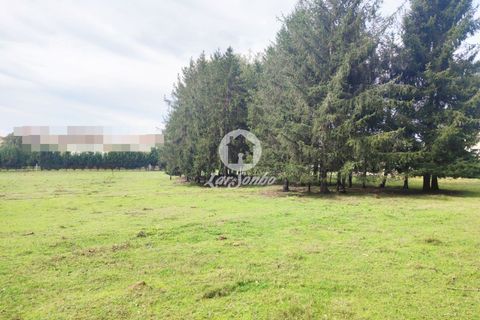 Tomt i Vila do Conde, Porto, Vila do Conde - € 300 000 | Ref: 240-T-25388 - foto 5