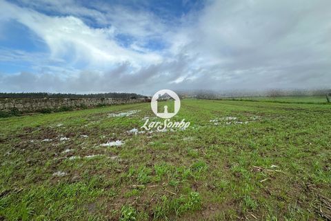 Helårsgrund i Vila do Conde, Porto, Vila do Conde - € 186.000 | Ref: 240-T-25520 - foto 4