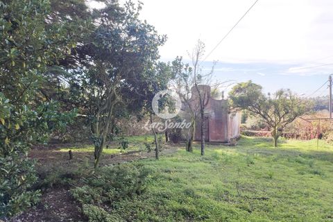 Granja a Vila do Conde, Porto, Vila do Conde - € 950.000 | Ref: 240-Q-25407 - foto 24