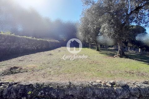 Granja a Vila do Conde, Porto, Vila do Conde - € 950.000 | Ref: 240-Q-25407 - foto 5
