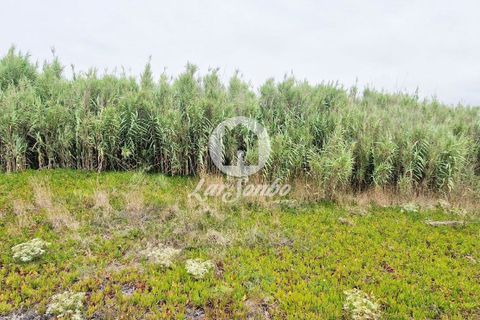 Tomt i Vila do Conde, Porto, Vila do Conde - € 1 099 000 | Ref: 240-T-25248 - foto 4