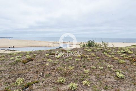 Tomt i Vila do Conde, Porto, Vila do Conde - € 1 099 000 | Ref: 240-T-25248 - foto 9