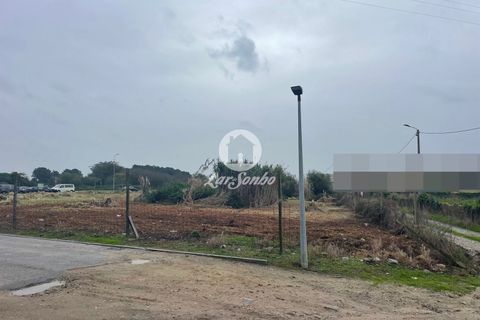 Helårsgrund i Vila do Conde, Porto, Vila do Conde - € 3.500.000 | Ref: 240-T-25409 - foto 3