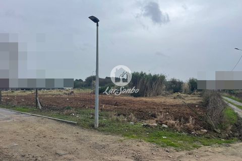 Helårsgrund i Vila do Conde, Porto, Vila do Conde - € 3.500.000 | Ref: 240-T-25409 - foto 8
