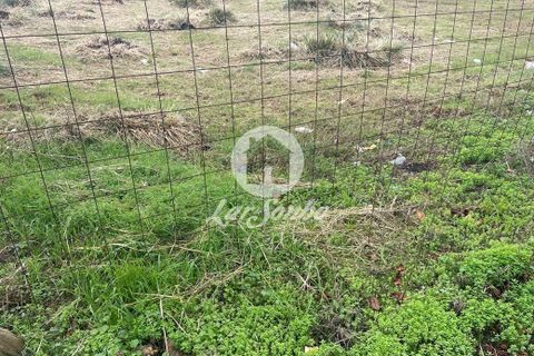 Helårsgrund i Vila do Conde, Porto, Vila do Conde - € 3.500.000 | Ref: 240-T-25409 - foto 9