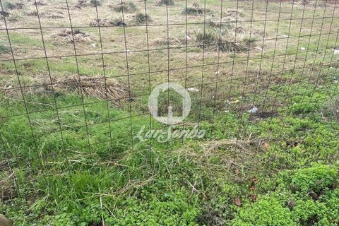 Helårsgrund i Vila do Conde, Porto, Vila do Conde - € 3.500.000 | Ref: 240-T-25409 - foto 12